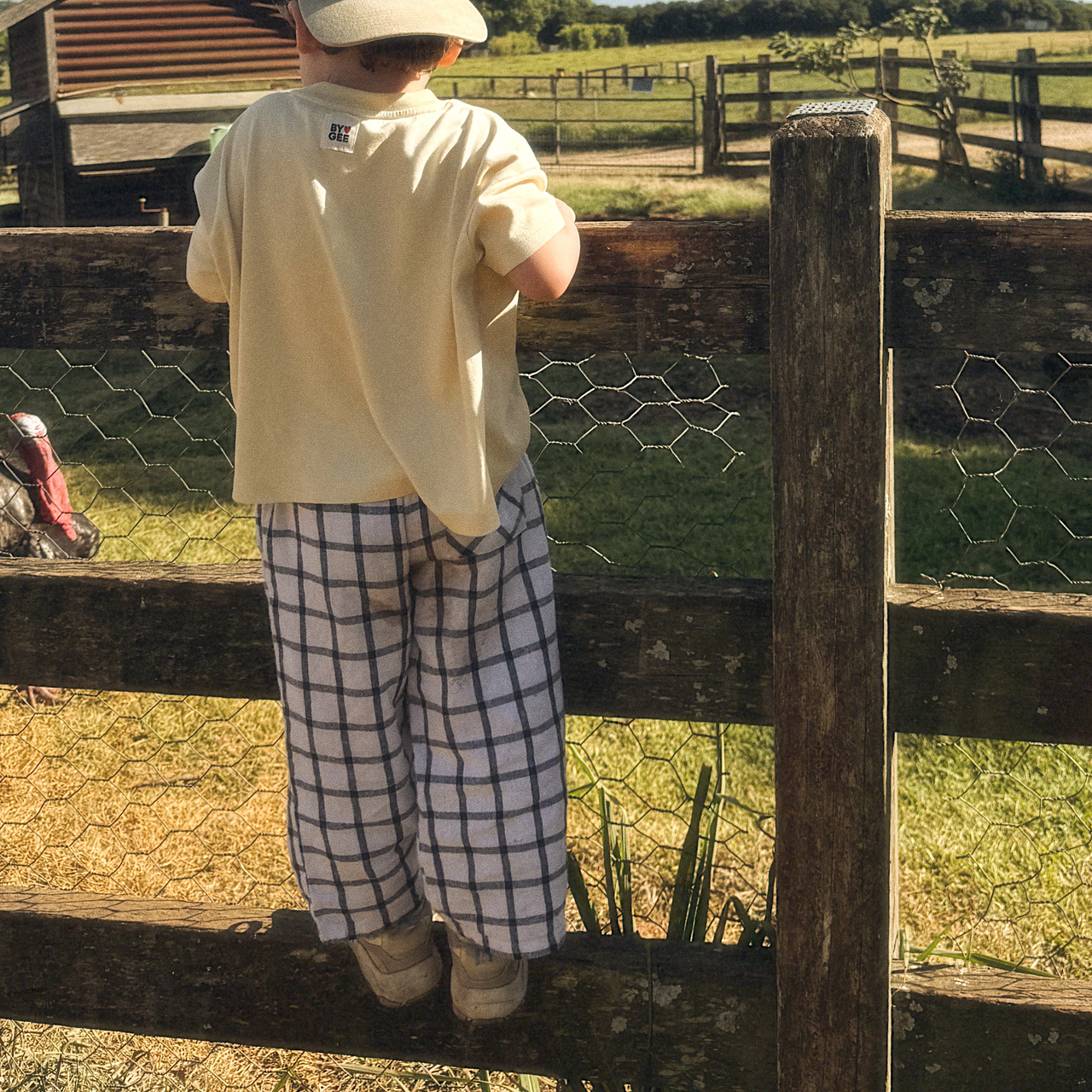 Summer Adventure Pant - Navy Check