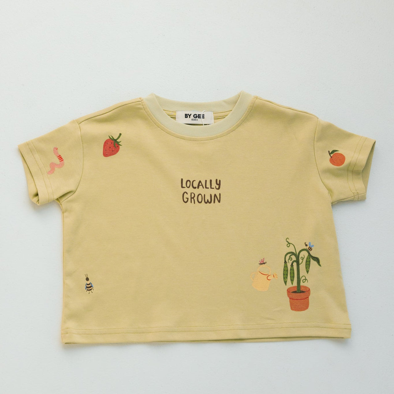 Locally Grown Oversized Boxy Tee - Pistachio