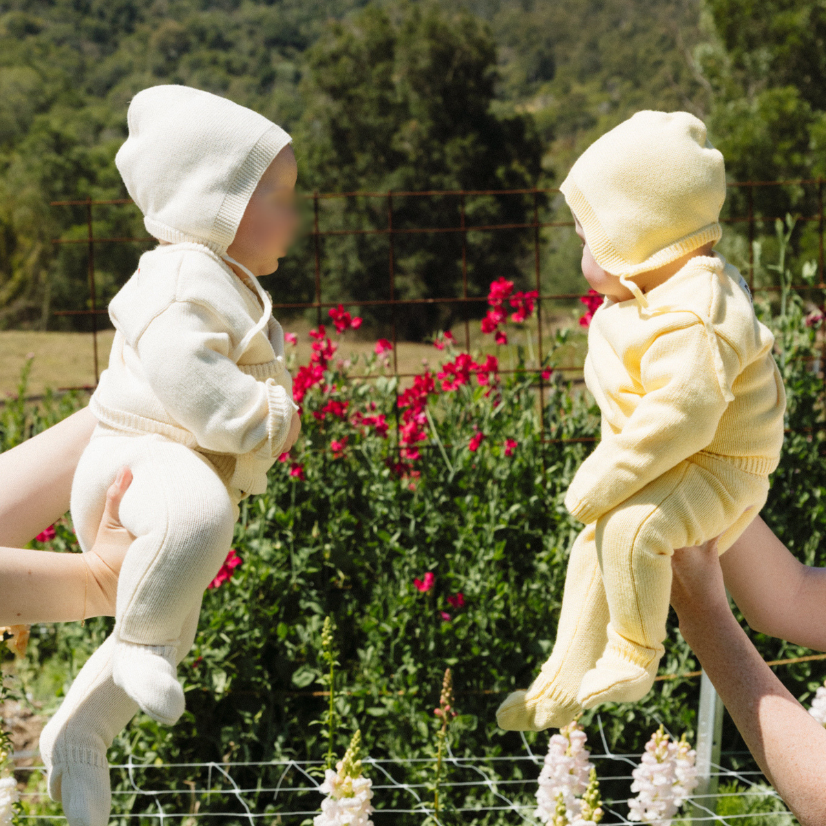 Organic Knitted Pants - Butter Yellow